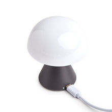 Lade das Bild in den Galerie-Viewer, Mina Mini LED Lampe
