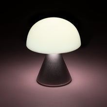 Lade das Bild in den Galerie-Viewer, Mina Mini LED Lampe
