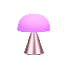Lade das Bild in den Galerie-Viewer, Mina M LED Lampe
